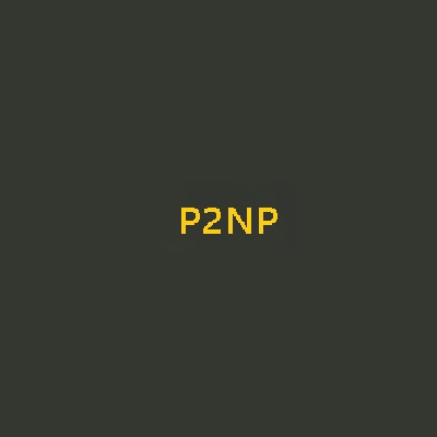 p2np