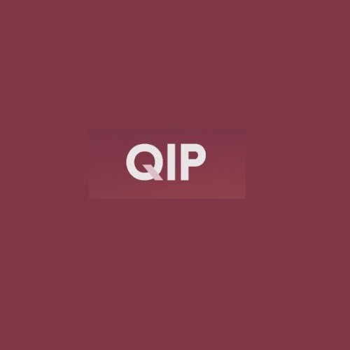 Q Investment Partners