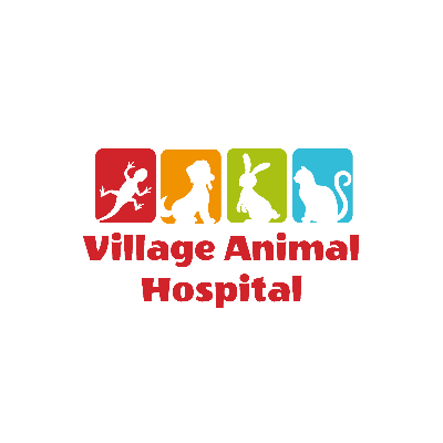 Village Animal Hospital