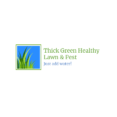 Thick Green Healthy Lawn & Pest