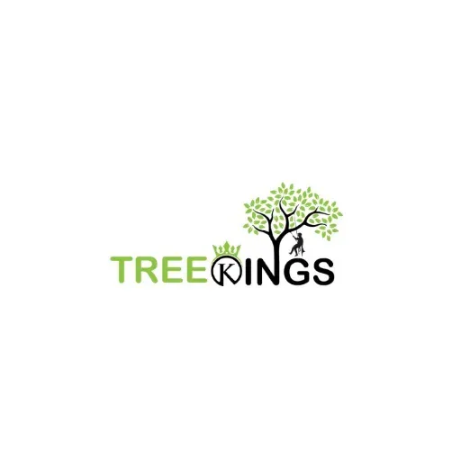 Tree Kings