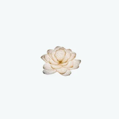 Lotus @ Queensway Medical