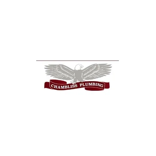 Chambliss Plumbing Company