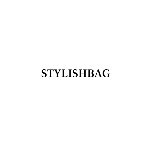 stylish bag
