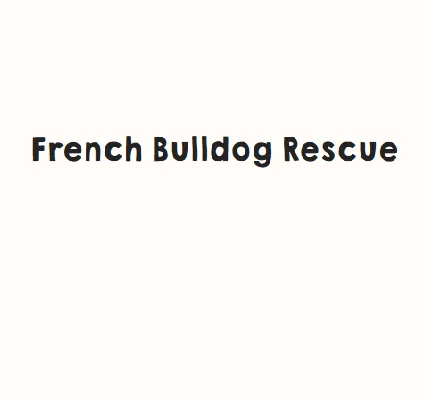 Rescue French Bulldogs