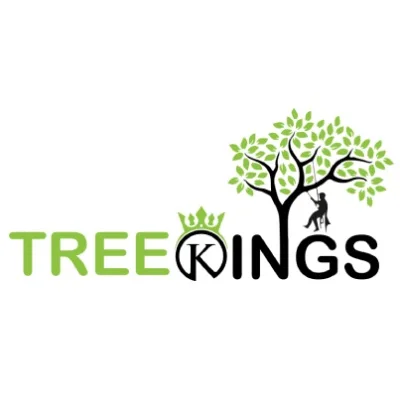 Tree Kings