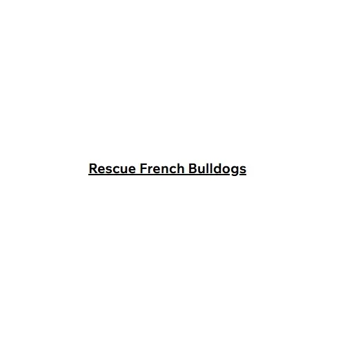 Rescue French Bulldogs