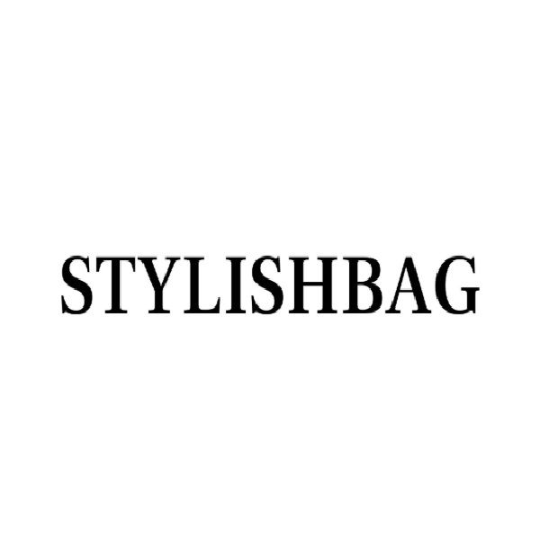 stylish bag